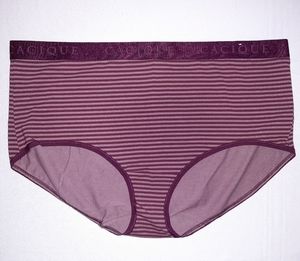 NWOT 💜 Cacique Full Brief